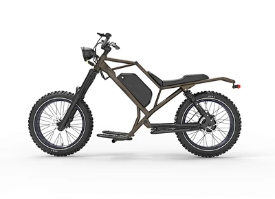 Electric bike LCEB02